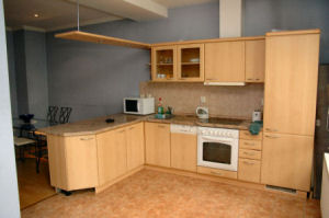 Krasova Penthouse - kitchen