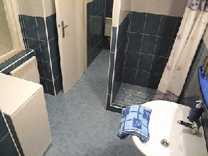 Letna apartment in Prague - bathroom