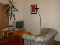 Livingroom in nice Praha apartment